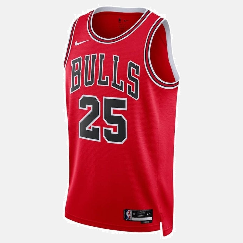 Dalen Terry Chicago Bulls Unisex 2022  NBA Jersey - Icon Edition - Red