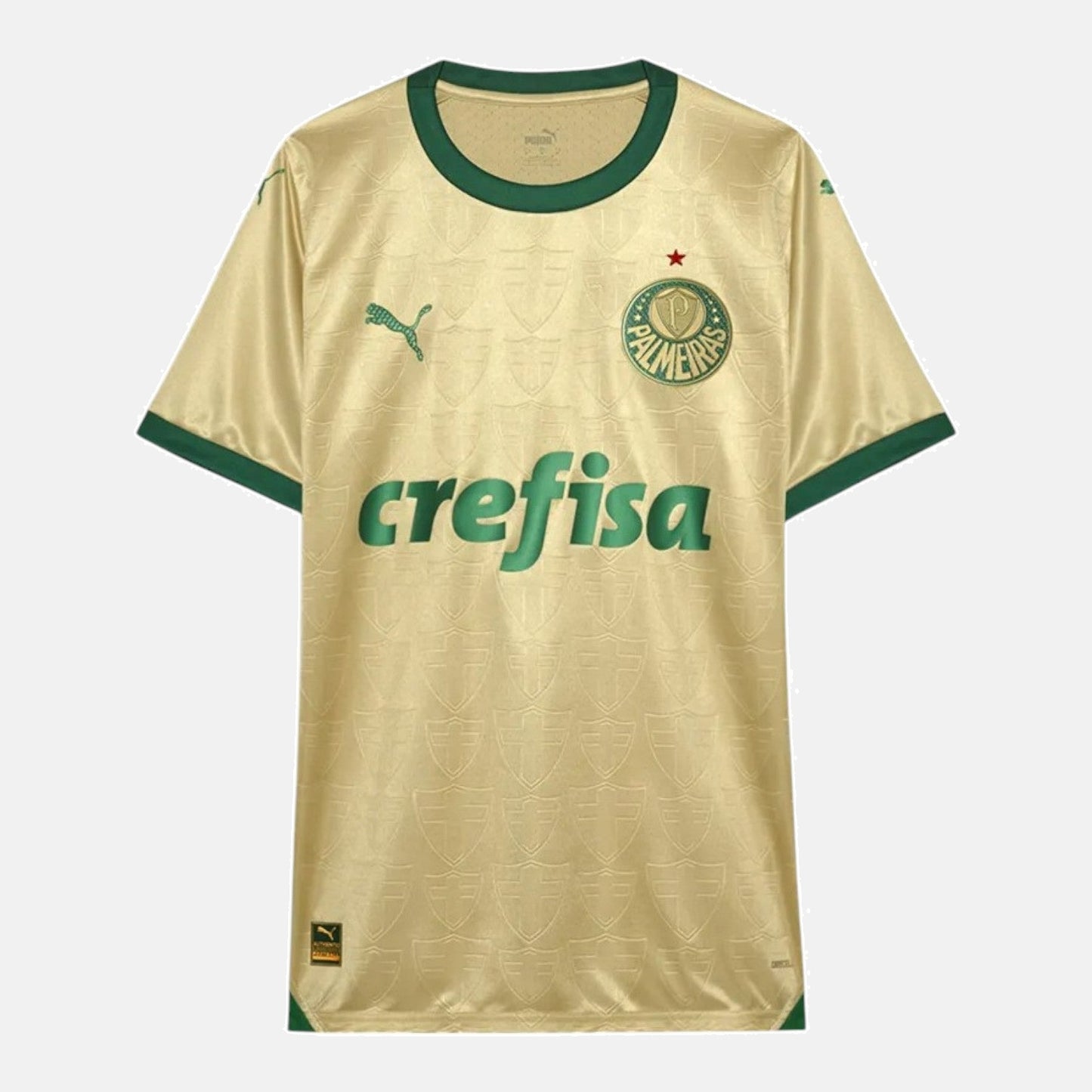 Palmeiras Third Jersey 2024/2025