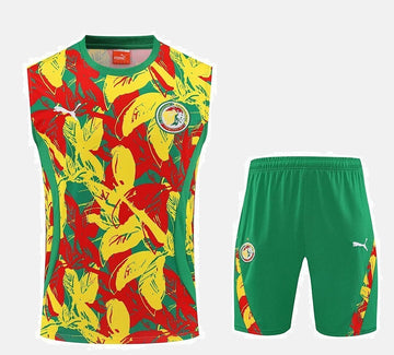 Senegal 2025 Training Kit - No Sleeve